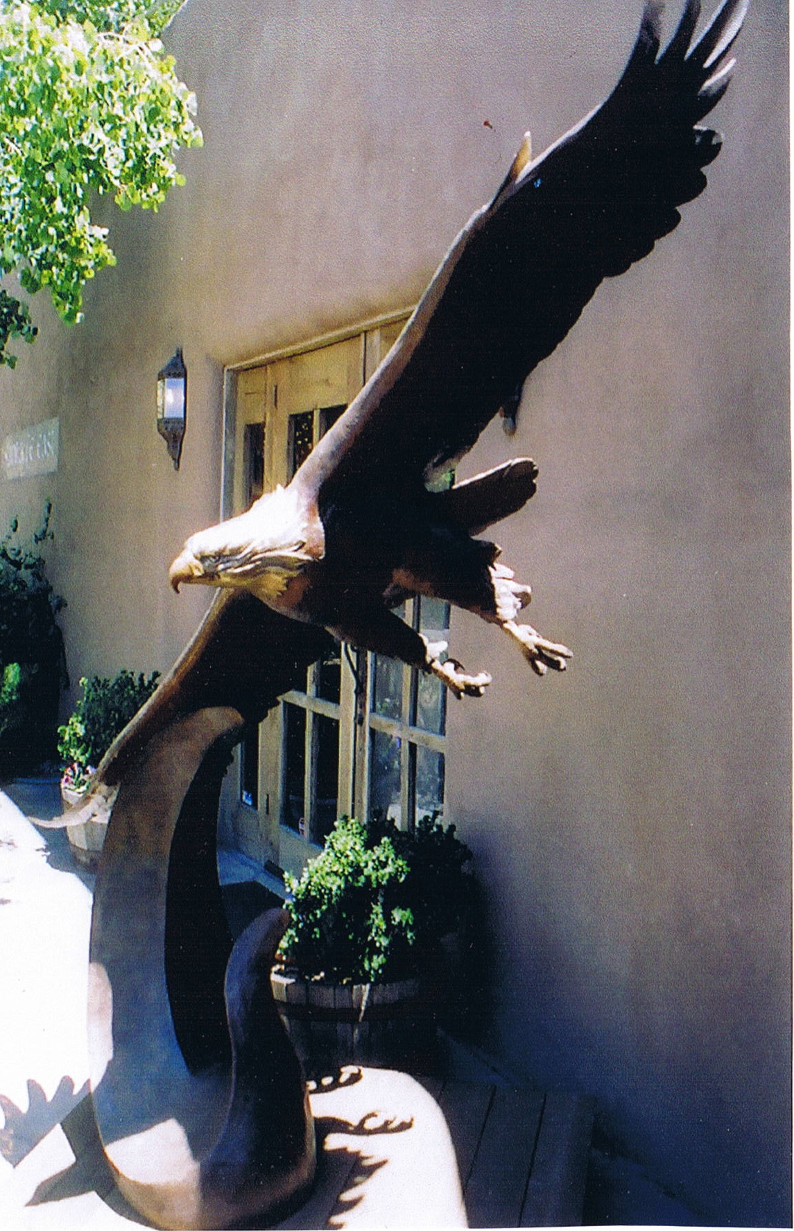 eagle.jpg